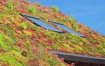 Benington Sea End living roof systems